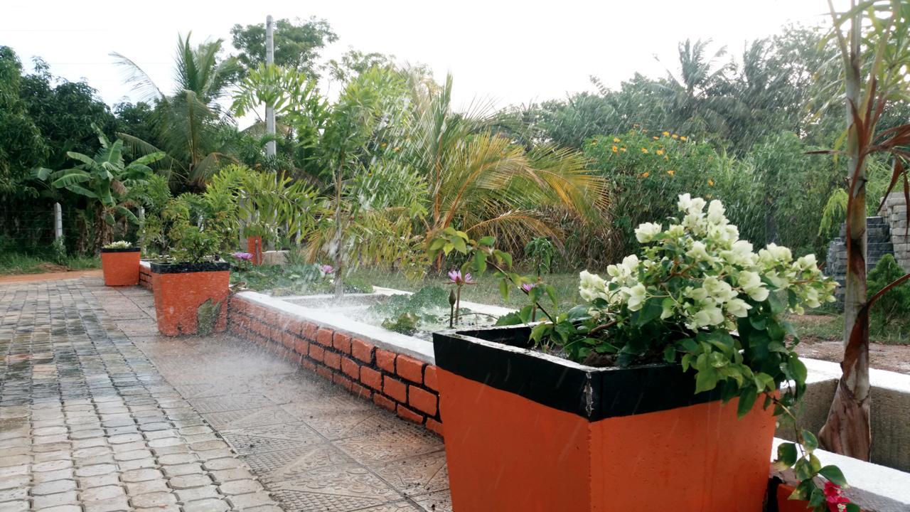 Miheen Hotel & Resort - Anuradhapura Mihintale Exteriér fotografie
